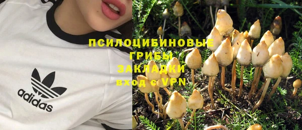 таблы Магас
